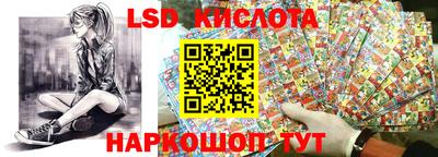 индика Можга