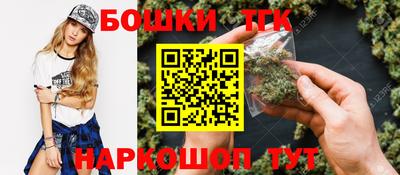 индика Можга