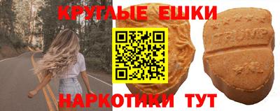 индика Можга
